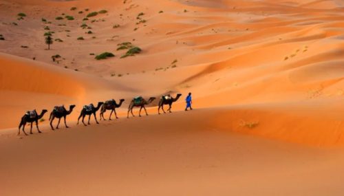 Travelling to Morocco and Covid-19: How to go there in 2022